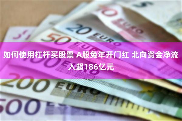 如何使用杠杆买股票 A股兔年开门红 北向资金净流入超186亿元