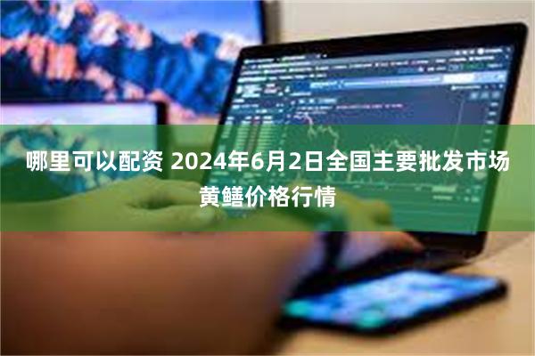 哪里可以配资 2024年6月2日全国主要批发市场黄鳝价格行情