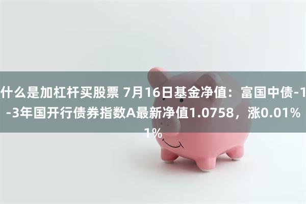 什么是加杠杆买股票 7月16日基金净值：富国中债-1-3年国开行债券指数A最新净值1.0758，涨0.01%