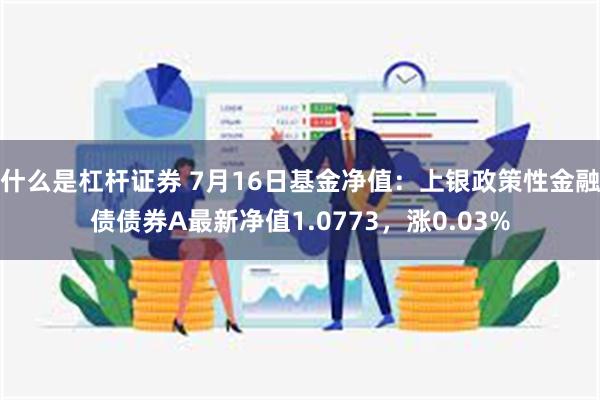 什么是杠杆证券 7月16日基金净值：上银政策性金融债债券A最新净值1.0773，涨0.03%