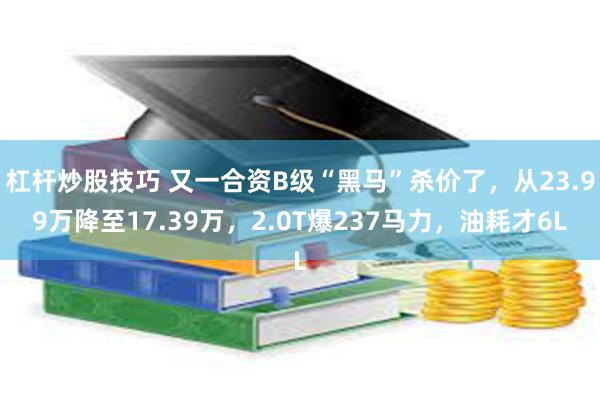 杠杆炒股技巧 又一合资B级“黑马”杀价了，从23.99万降至17.39万，2.0T爆237马力，油耗才6L