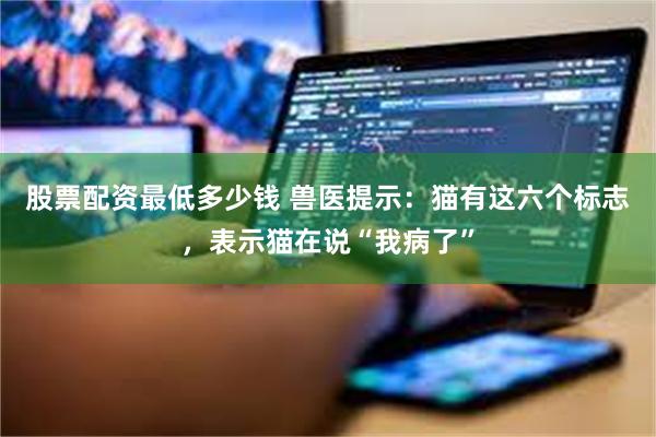 股票配资最低多少钱 兽医提示：猫有这六个标志，表示猫在说“我病了”