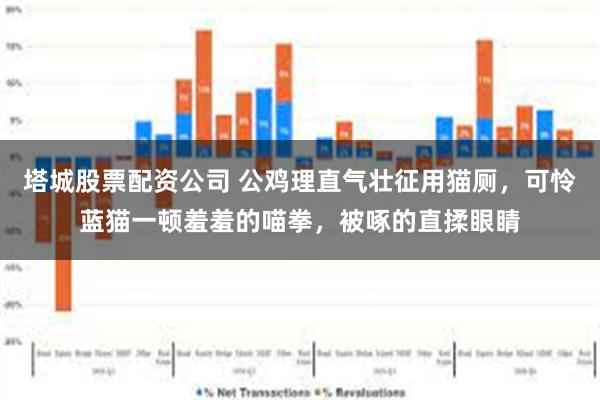 塔城股票配资公司 公鸡理直气壮征用猫厕，可怜蓝猫一顿羞羞的喵拳，被啄的直揉眼睛