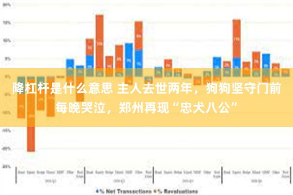 降杠杆是什么意思 主人去世两年，狗狗坚守门前每晚哭泣，郑州再现“忠犬八公”