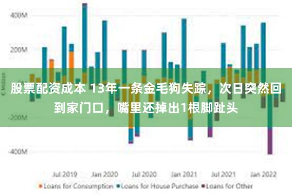 股票配资成本 13年一条金毛狗失踪，次日突然回到家门口，嘴里还掉出1根脚趾头