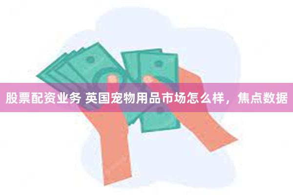 股票配资业务 英国宠物用品市场怎么样，焦点数据