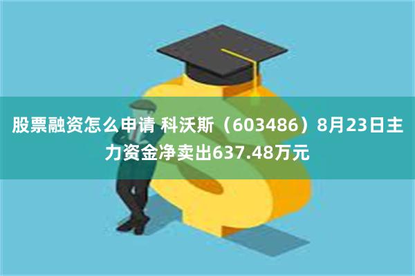 股票融资怎么申请 科沃斯（603486）8月23日主力资金净卖出637.48万元