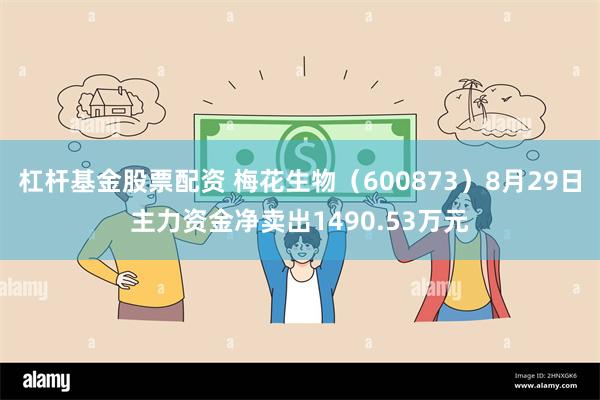 杠杆基金股票配资 梅花生物（600873）8月29日主力资金净卖出1490.53万元