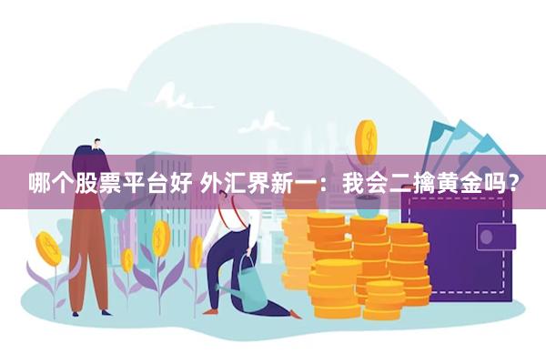 哪个股票平台好 外汇界新一：我会二擒黄金吗？