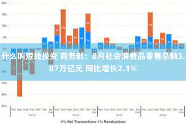 什么叫短线投资 商务部：8月社会消费品零售总额3.87万亿元 同比增长2.1%