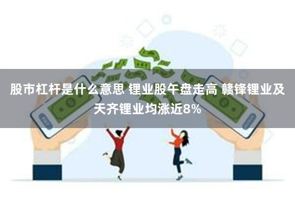 股市杠杆是什么意思 锂业股午盘走高 赣锋锂业及天齐锂业均涨近8%