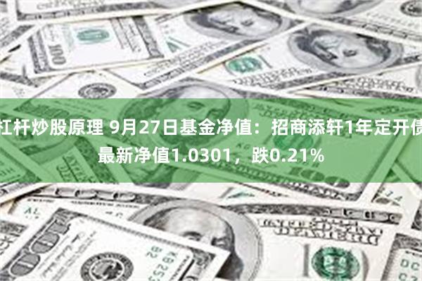 杠杆炒股原理 9月27日基金净值：招商添轩1年定开债最新净值1.0301，跌0.21%