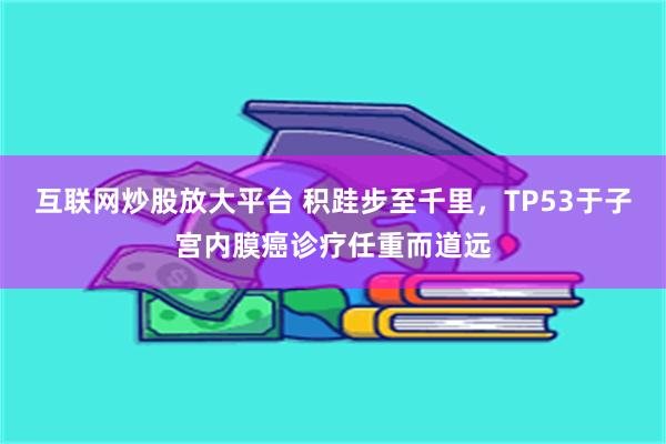 互联网炒股放大平台 积跬步至千里，TP53于子宫内膜癌诊疗任重而道远