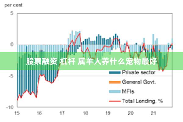 股票融资 杠杆 属羊人养什么宠物最好