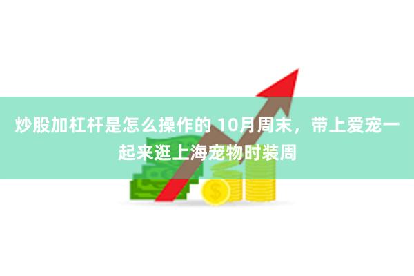 炒股加杠杆是怎么操作的 10月周末，带上爱宠一起来逛上海宠物时装周