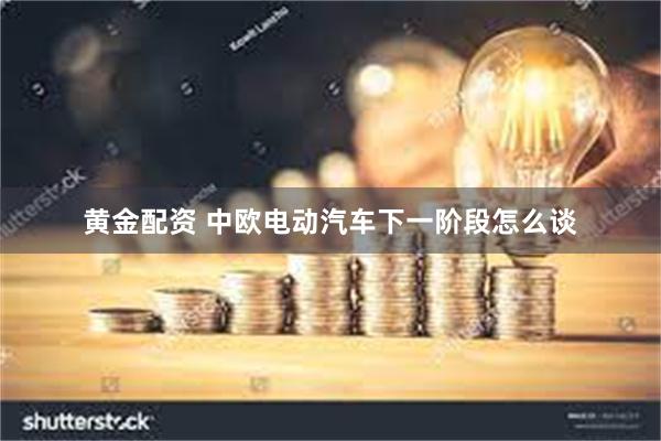 黄金配资 中欧电动汽车下一阶段怎么谈