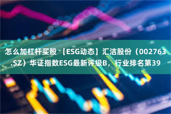 怎么加杠杆买股 【ESG动态】汇洁股份（002763.SZ）华证指数ESG最新评级B，行业排名第39