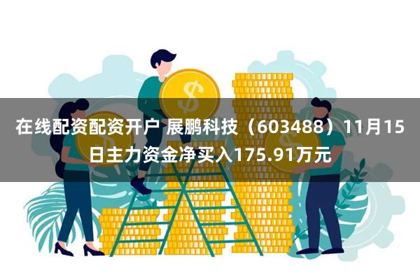 在线配资配资开户 展鹏科技（603488）11月15日主力资金净买入175.91万元