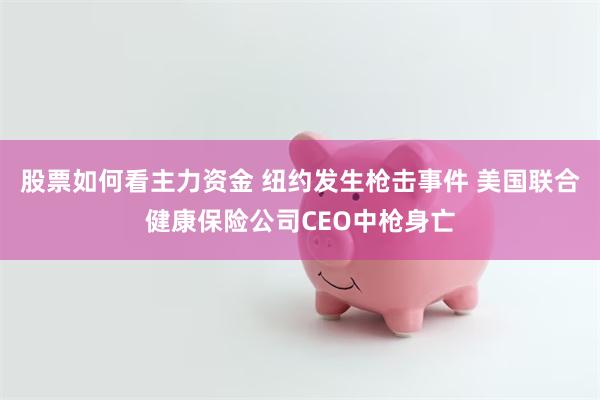 股票如何看主力资金 纽约发生枪击事件 美国联合健康保险公司CEO中枪身亡